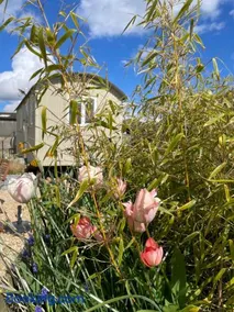 The Shepherd's Hut - Image 5