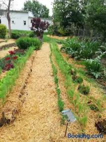 Au cœur du jardin - Image 3