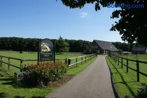 Recreatieoord Hippique - Image 1