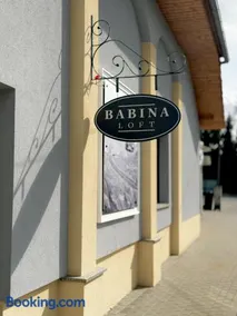 Babina Loft - Image 1