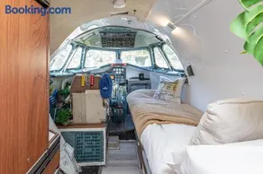 Alaya Airways - Image 2
