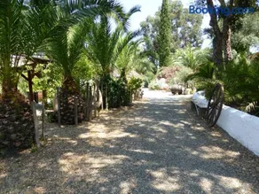 Relais de Bravone - Image 5