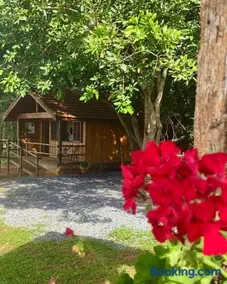 Glamping Panorama - Image 3