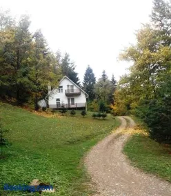 Șoaptele pădurii & Căsuța din pădure - Image 2