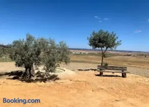 Los Alcores , disfruta de la naturaleza ! - Image 3