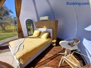 La Bulle des alpagas - Image 3