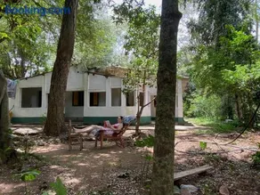 Forests for People, Nidikumba HomeStay - Image 1