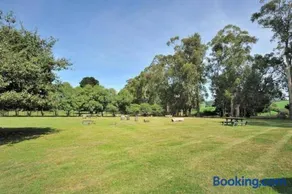 Jindi Hills Retreat - Image 4