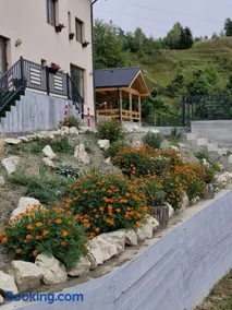 Roua Dimineții - Image 4