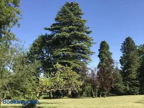 Grande maison rénovée avec piscine privée et parc, idéale pour vacances en famille en Dordogne - Image 2