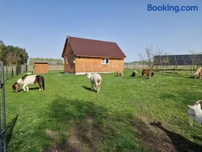Eurostruś - zoo, domki - Image 1