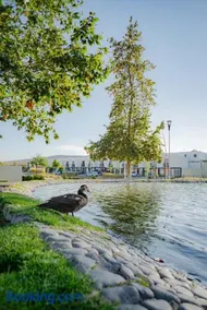 Casa al Sur de Guadalajara con Alberca, Lago, Gym, Parque y Vista al bosque en Salida a Morelia López Mateos - Image 3