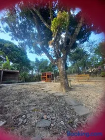 Cantinho Feliz - Image 3