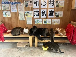 和心村-猫治村-日本里山グランピング村 - Image 1