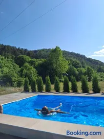 Vila Petar Mokra Gora - Image 2