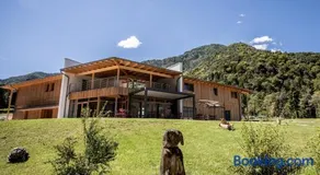 Bosc del Meneghì - Image 1