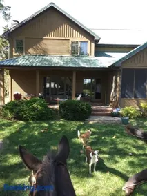 Happy Ass Farm - Image 1