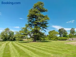 Newcourt Manor - Image 5