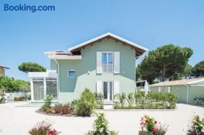 Fiori di Cardo - Agrimare - Image 3