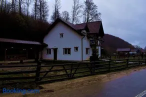 Casa Vanatorului Buzaiel - Image 5