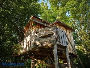 Treehouse Toplak - Image 2