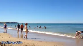 Le Papillon bleu - Image 2