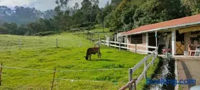Finca Agroturistica ANGUPACHA - Image 4