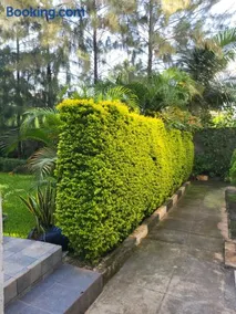 Serene Garden Studio with private backyard Kiambu Rd - Image 1