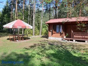 Forest Villa- domki - Image 2