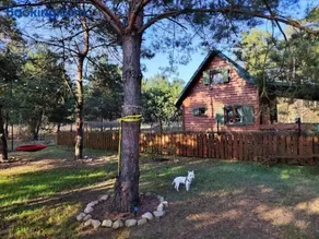 Pożarowo domek na mazowszu - Image 1