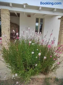 Trullo Contrada Specchi - Image 2