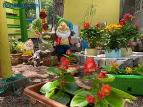 Jacky's House - Image 3