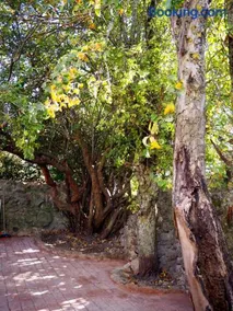 La Casa de los Abuelos Valentín - Image 4