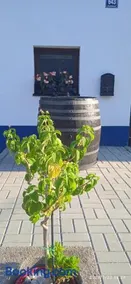 Sklípek u cyklostezky - Image 1