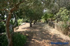 Appartamento in Villa Fortunata TERRA - Image 2