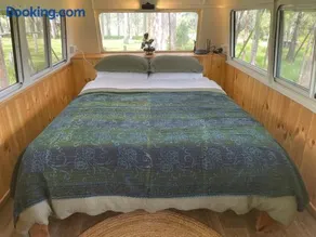 Tree Top Bus Stop - Image 3