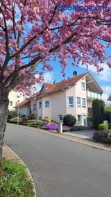 Tauberperle - Image 1