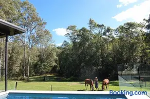 Endeavour Grey - Mothar Mt Horse & Guest Stay - Image 3
