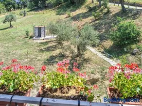 Agriturismo la Vammora Le More - Camere nel bosco - Image 2