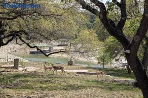 Lake Travis Getaway on Hudson Bend - Image 2