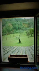 Agriturismo Monterone - Image 2