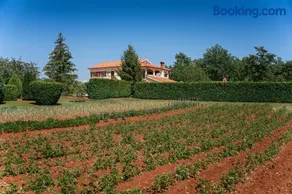 Villa Vranići - Image 5