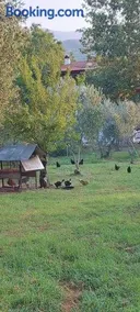 Diamond Farm Villa - Image 5