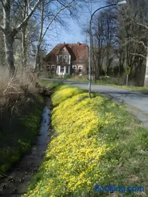Ferienhof Schülp - Image 2