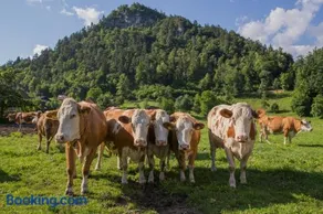 Farm Holidays Povsin - Image 1