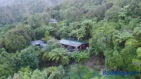 Forest Edge - Image 1