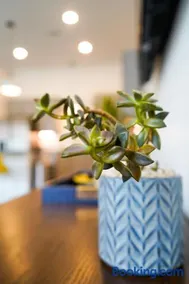 The Sunflower Suite - Image 2
