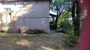kojori green house - Image 4