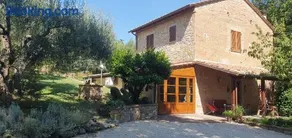 Il Picchio Verde - Image 3