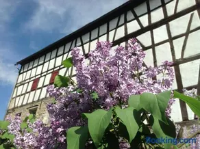 Gut Bunt Ferienhaus - Image 2